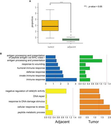 Natural Selection on Exonic SNPs Shapes Allelic Expression Imbalance (AEI) Adaptability in <mark class="highlighted">Lung Cancer Progression</mark>